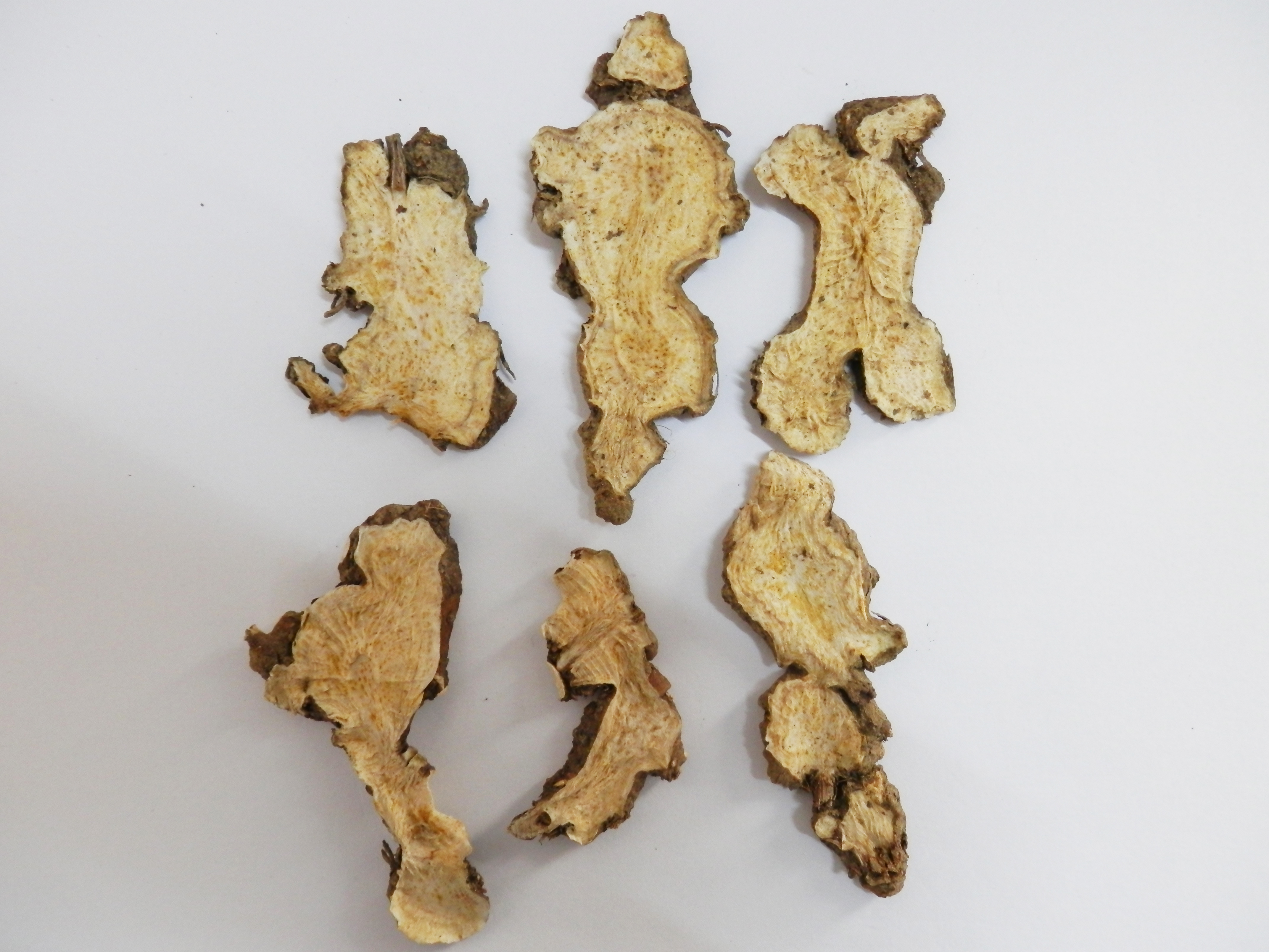 茅蒼術(shù)